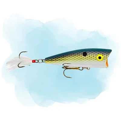 Isca Artificial Rebel Popper Pop-R P61